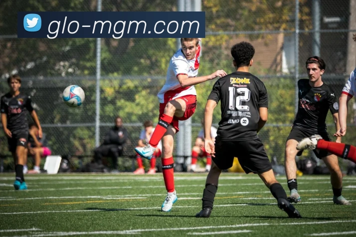 美高梅官网平台生态图